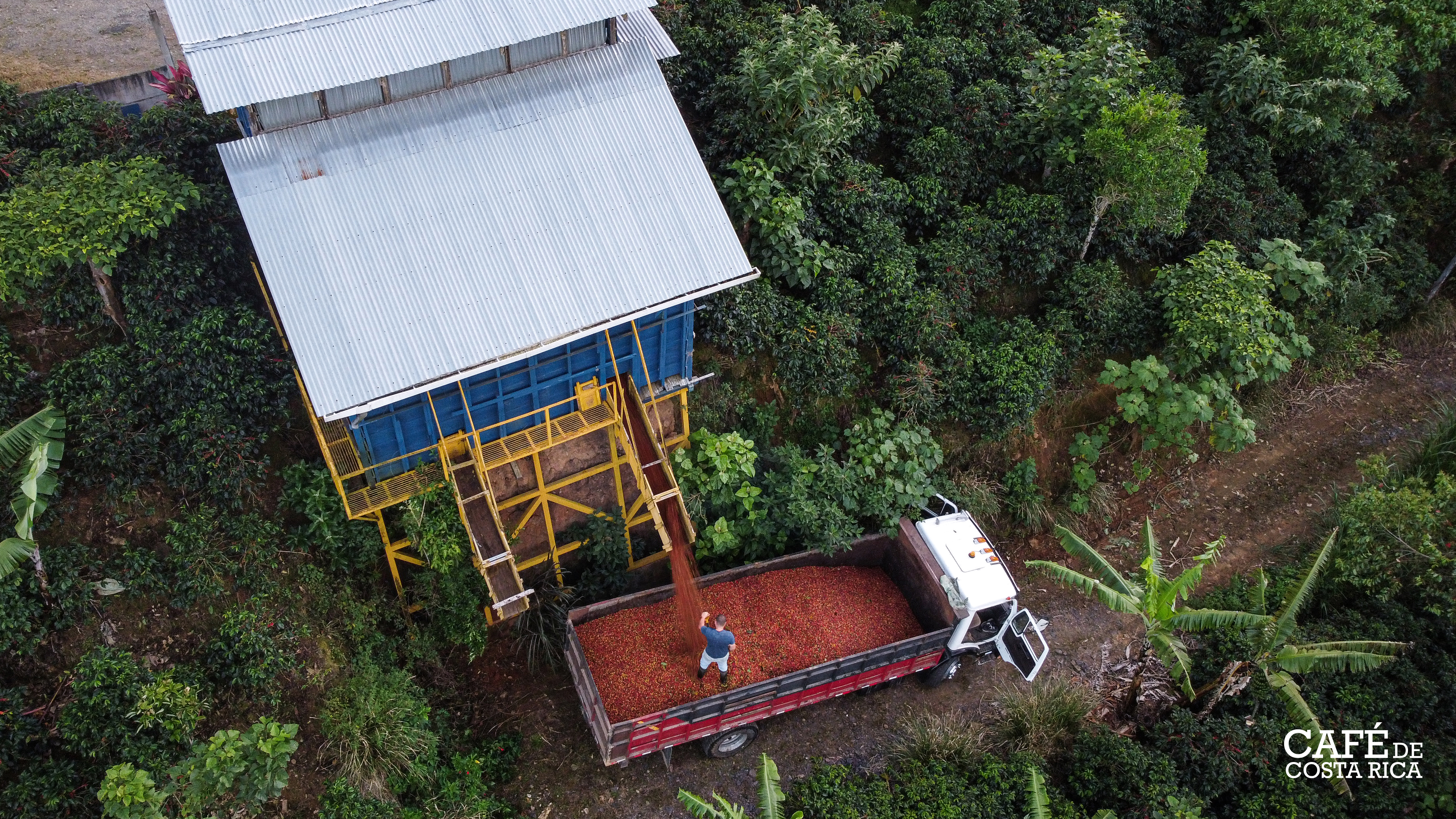 Cafe de Costa Rica